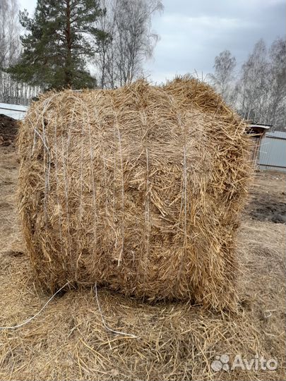 Продам солому,сено