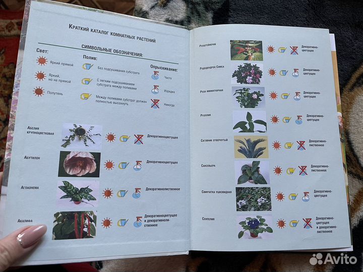 Энциклопедия комнатных растений