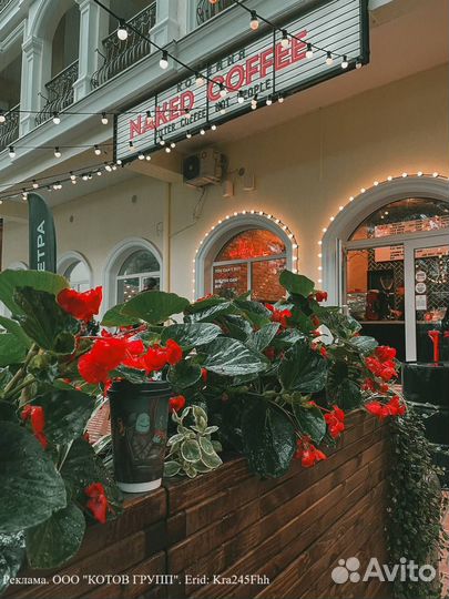 Официант-кассир в кофейню 