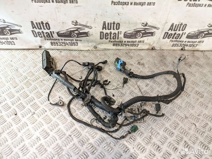 Коса подкапотная ford focus 2