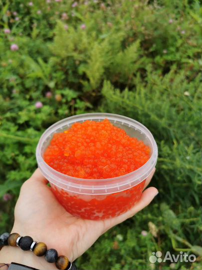 Икра Кеты 2023 С Камчатки розница, опт