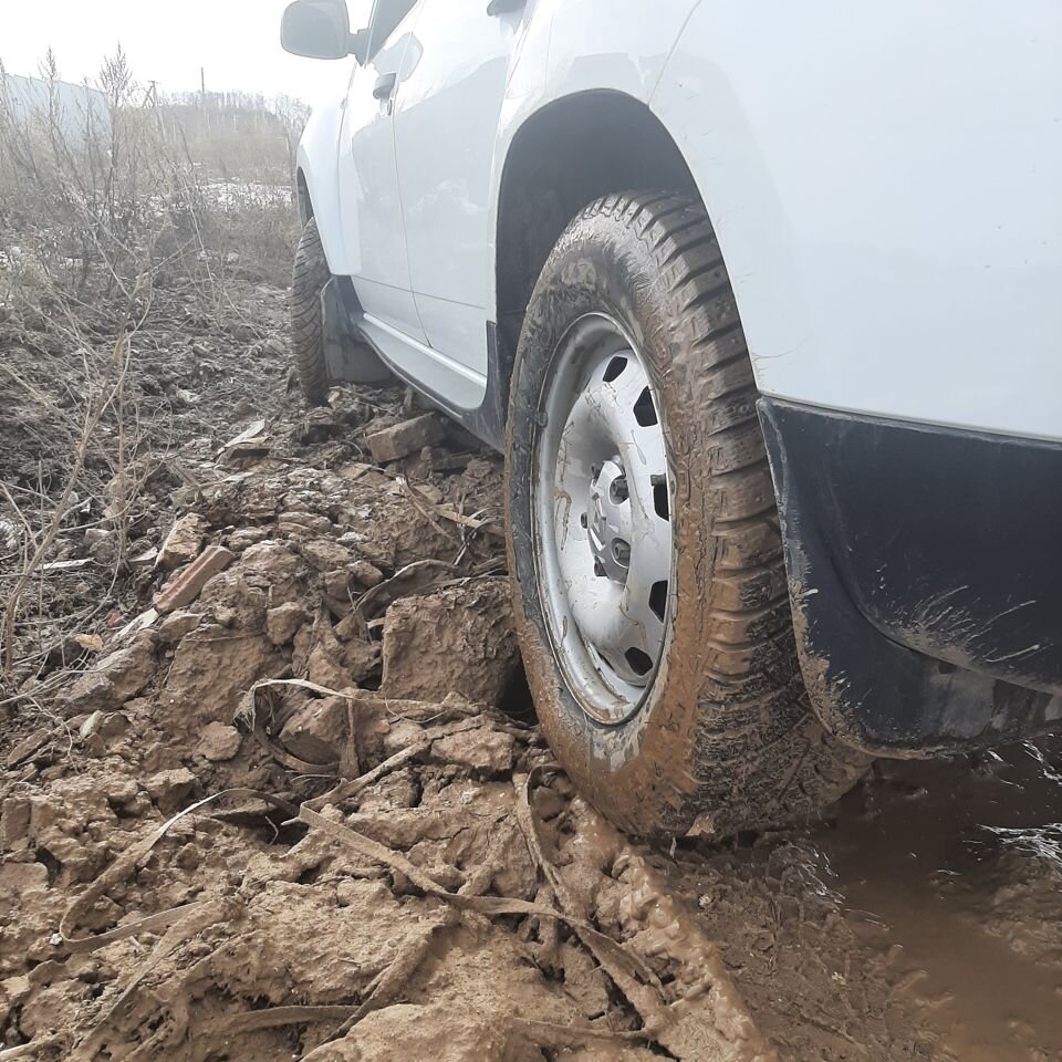 Renault Duster: фото владельца