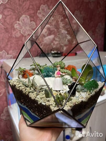 Флорариум суккуленты