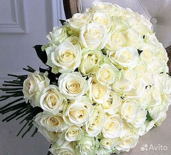 Высокие розы