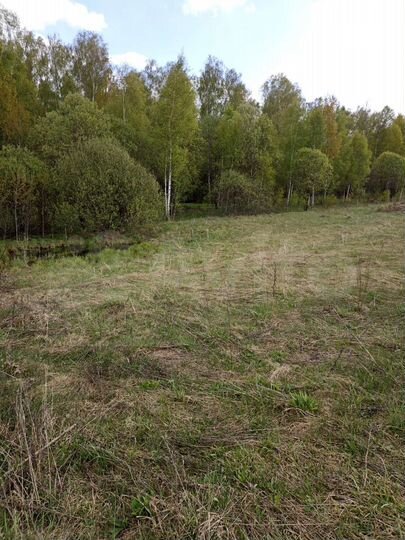 Участок 10 сот. (СНТ, ДНП)