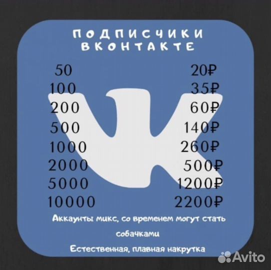 Накрутка подписчиков