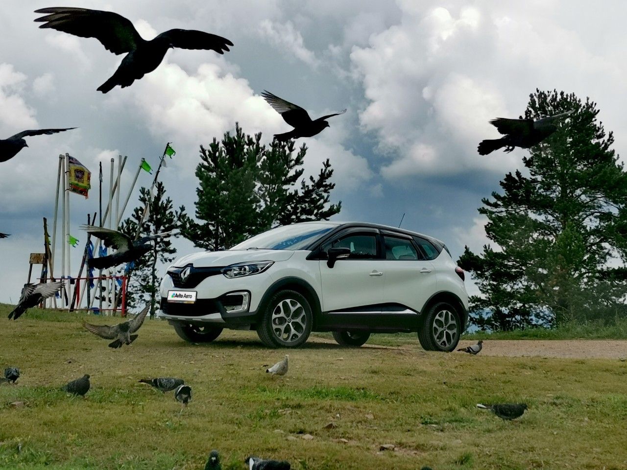 Renault Kaptur: фото владельца
