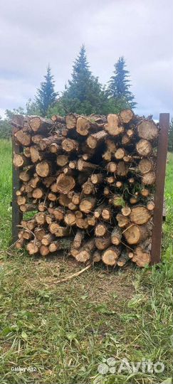 Стволы можевельника