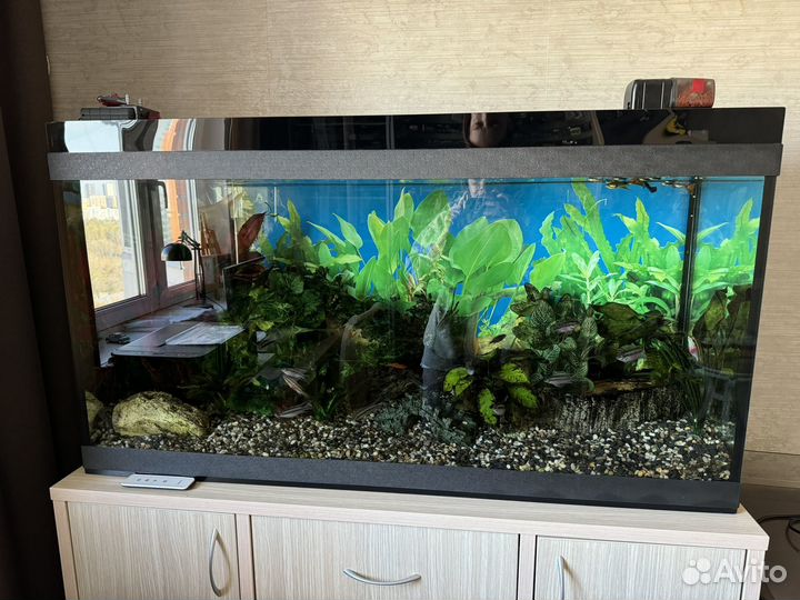 Аквариум на 350 литров