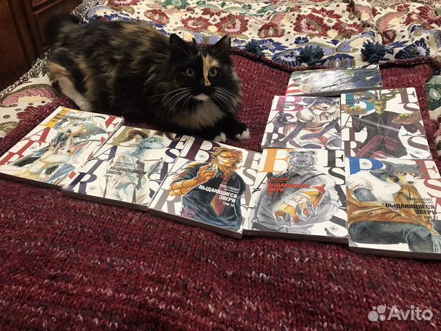 Манга Выдающиеся Звери, 5-12 том