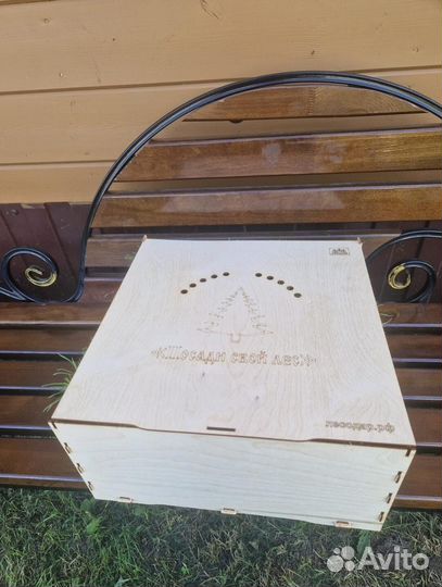 Саженцы сосны зкс в розницу