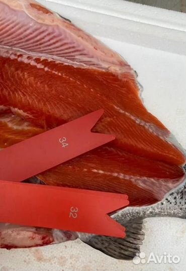 Форель Охлажденная в наличии