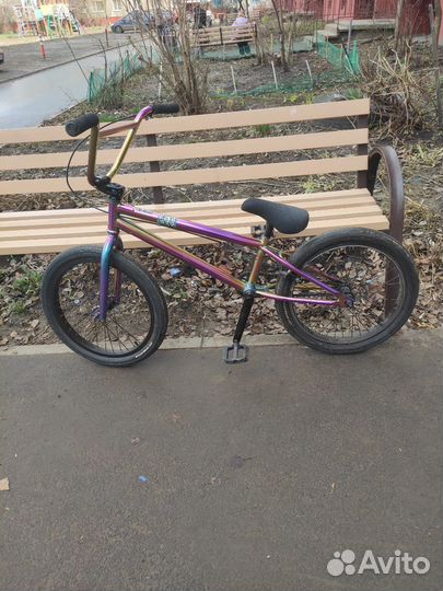 Bmx tech team gradient