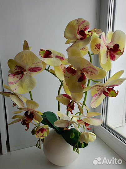 Интерьерные композиции