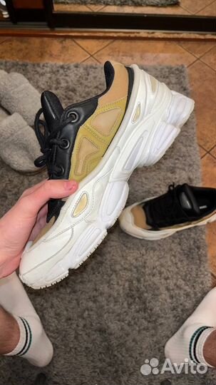 Adidas Raf simons Ozweego 3 Khaki