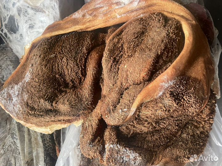 Рубец говяжий оптом