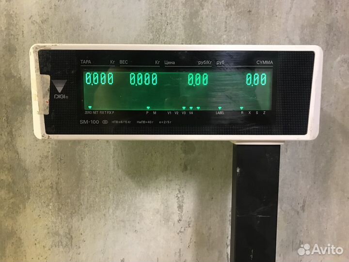 Весы с печатью digi SM-100