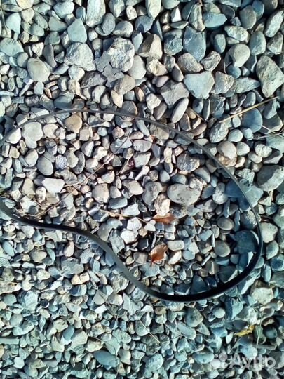 Ремень приводной на Хонда Аккорд 7