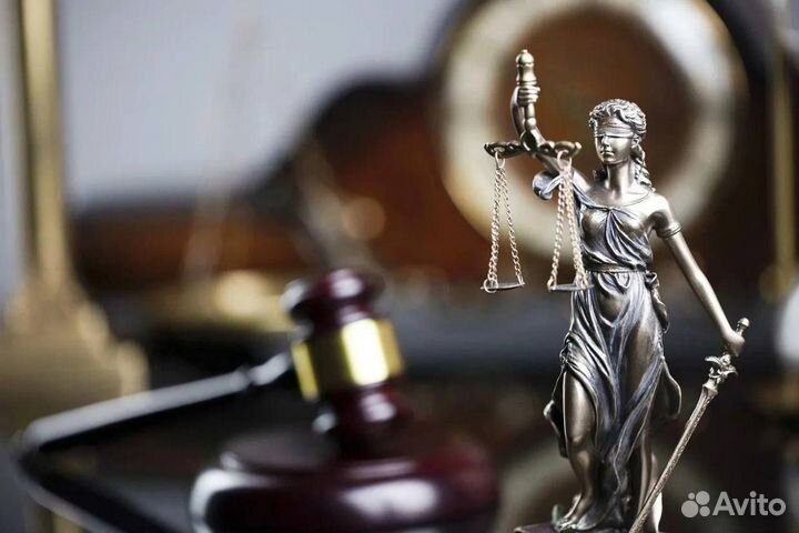 Юрист по гражданским и административным делам