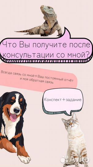 Кинолог зоопсихолог