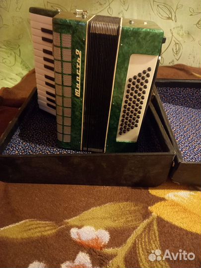 Аккордеон юность