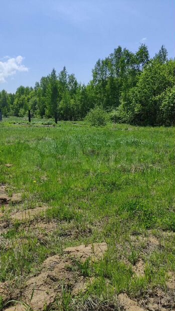 Участок 20 сот. (ИЖС)