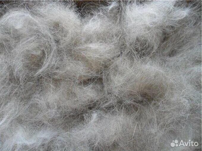 Собачья шерсть