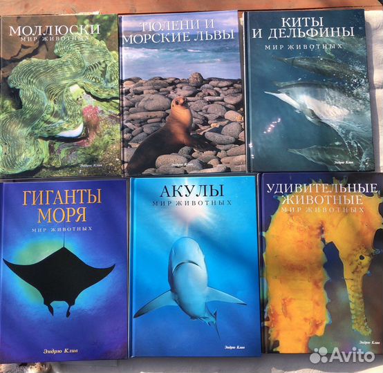 Мир животных Белфакс