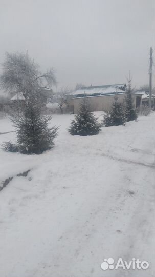 Приму грунт в дар