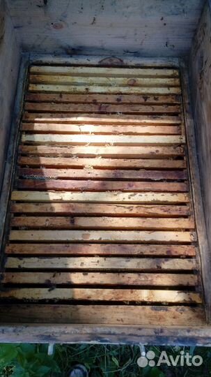 Пчелы с ульями