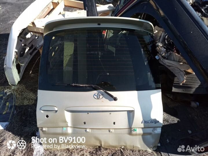 Дверь пятая