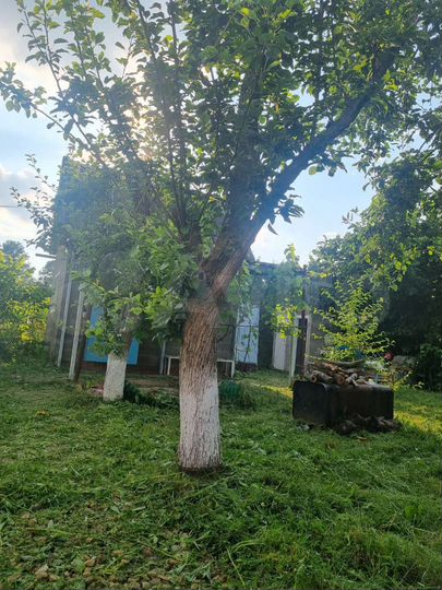 Дача 10 м² на участке 8 сот.