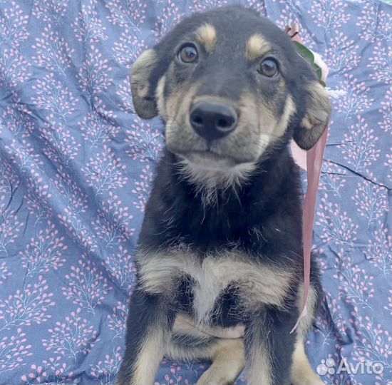 Вы тоже об этом думаете