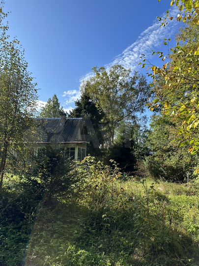 Участок 21 сот. (СНТ, ДНП)