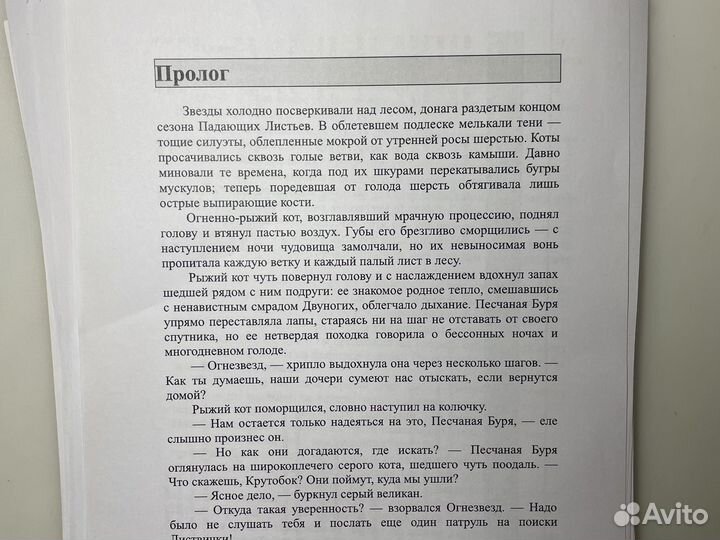 Коты воители второй цикл(распичатки)