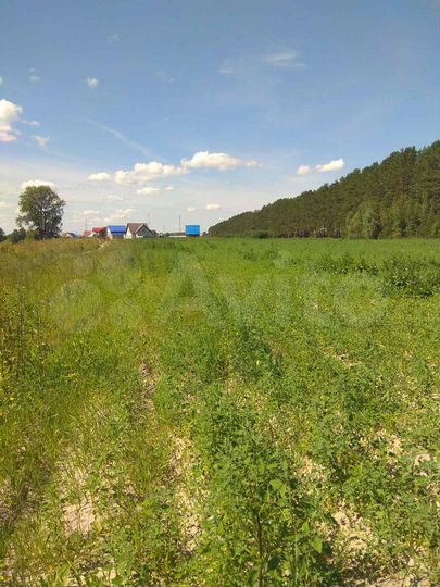 Участок 2,45 га (СНТ, ДНП)