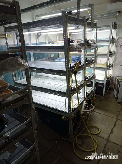 Гидропонная установка