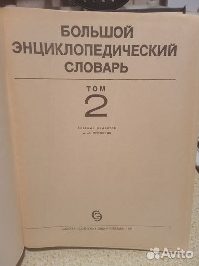 Большой энциклопедический словарь, Толковый