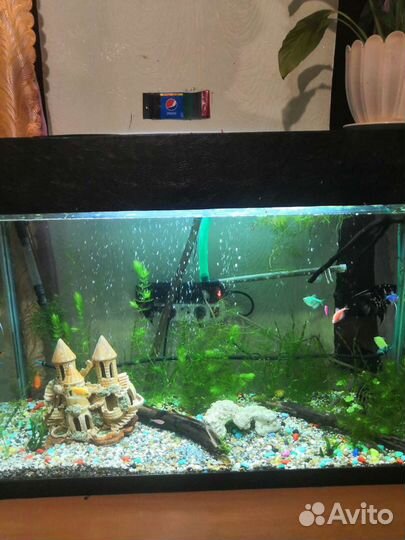 Аквариум