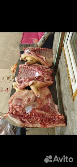 Мясо свинина домашнее