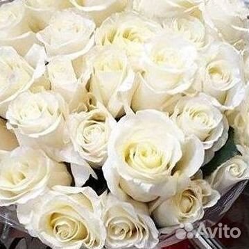 Высокие Розы с Доставкой