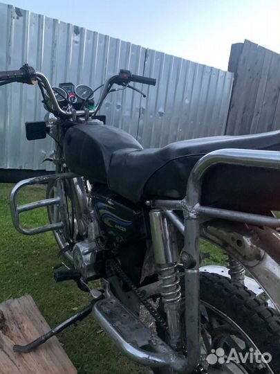 Ирбис Вигаро