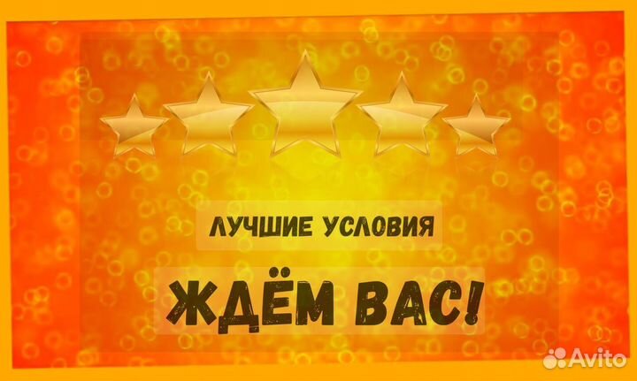 Мойщики Работа вахтой Жилье/Питание Еженедельный аванс +Отл.Условия