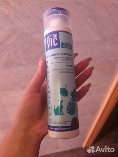 Золотая шиншила