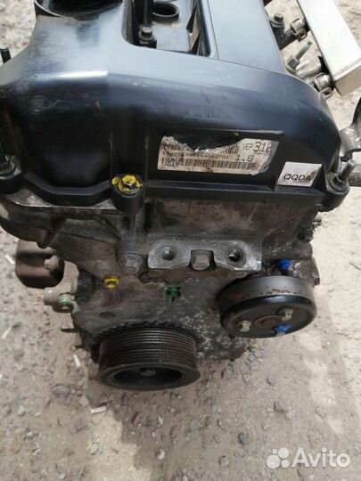 Двигатель qqda Форд Фокус 2 1,8