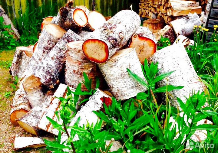Дрова сухие
