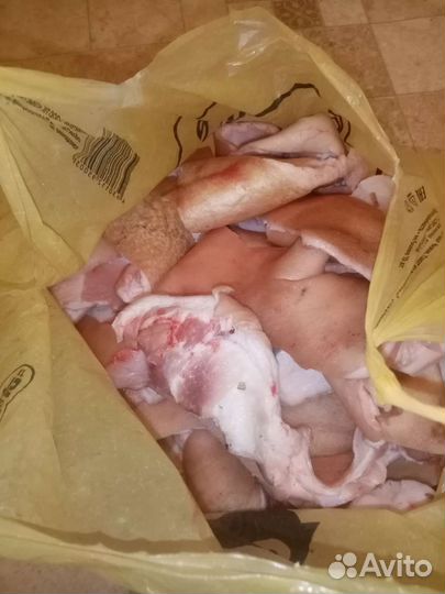 Корм для животных