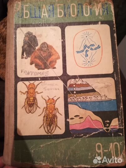 Русский язык в картинках