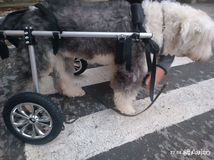 Инвалидная коляска-ходунки