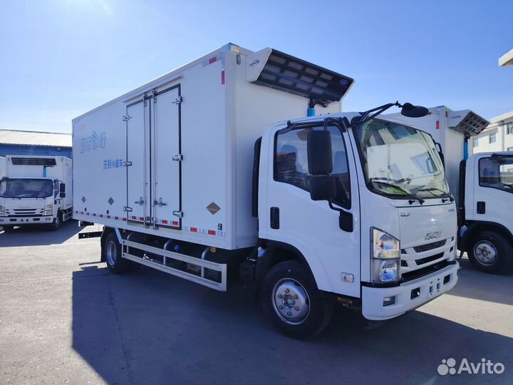 Isuzu Elf (N-series), 2024